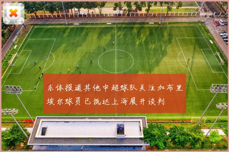 东体报道其他中超球队关注加布里埃尔球员已抵达上海展开谈判