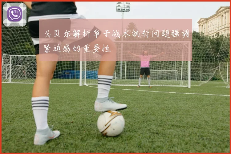 戈贝尔解析华子战术执行问题强调紧迫感的重要性