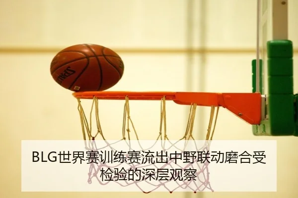 BLG世界赛训练赛流出中野联动磨合受检验的深层观察 - TIANBOSPORTS